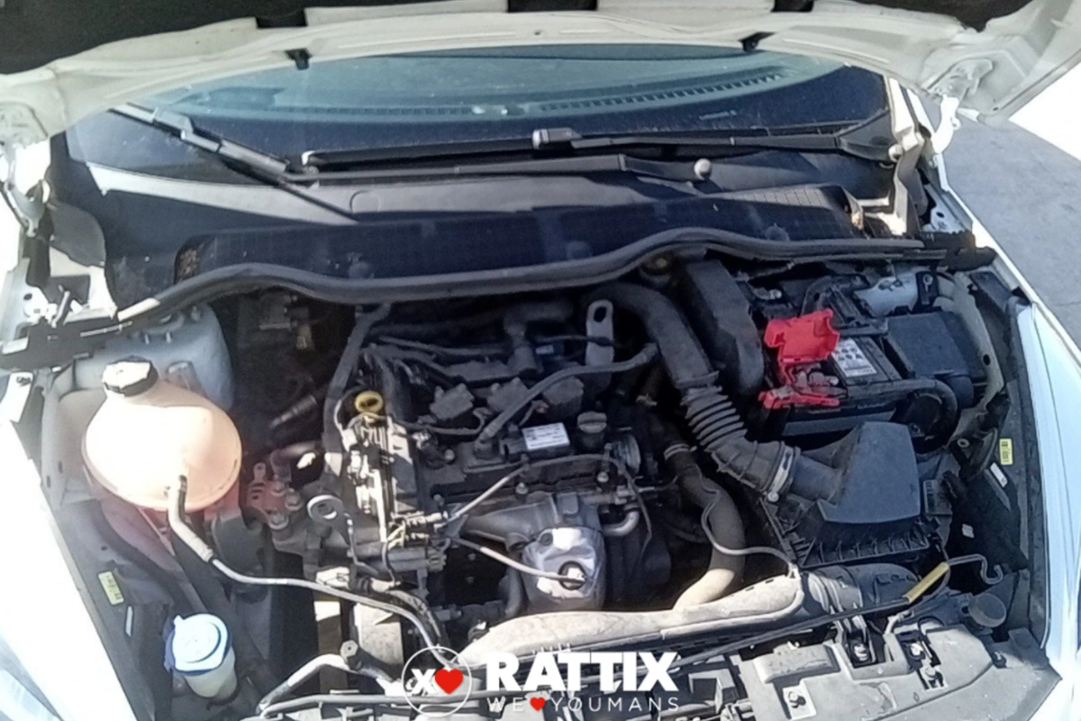 FORD fiesta vii 2017 5p Fiesta 1.1 Business 85cv my19.5